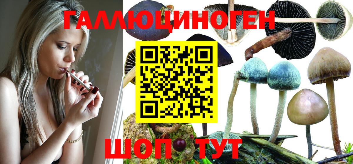 Меф МЯУ МЯУ кристаллы  ГАШ  Каннабис  КОКАИН  Минусинск  ЭКСТАЗИ  Вход с VPN  Наркошоп 