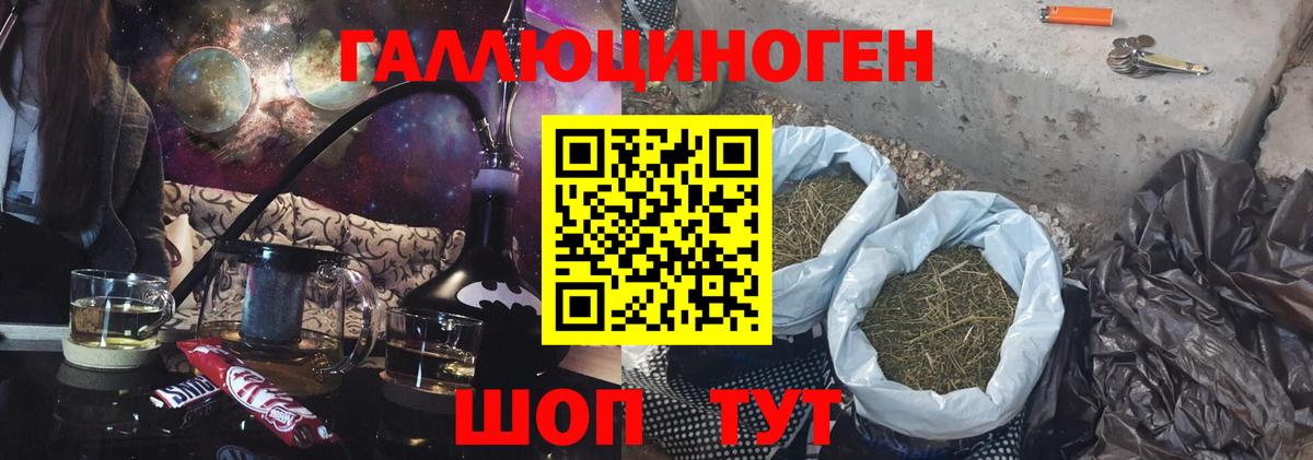Псилоцибиновые грибы Psilocybine cubensis  Вход с VPN  Псилоцибиновые грибы мицелий  Минусинск 
